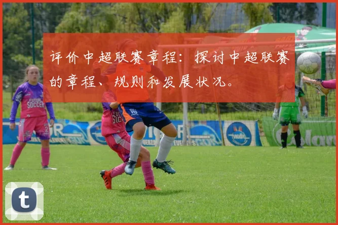 评价中超联赛章程：探讨中超联赛的章程、规则和发展状况。
